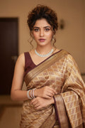 Woman wearing a traditional saree with a blurred background