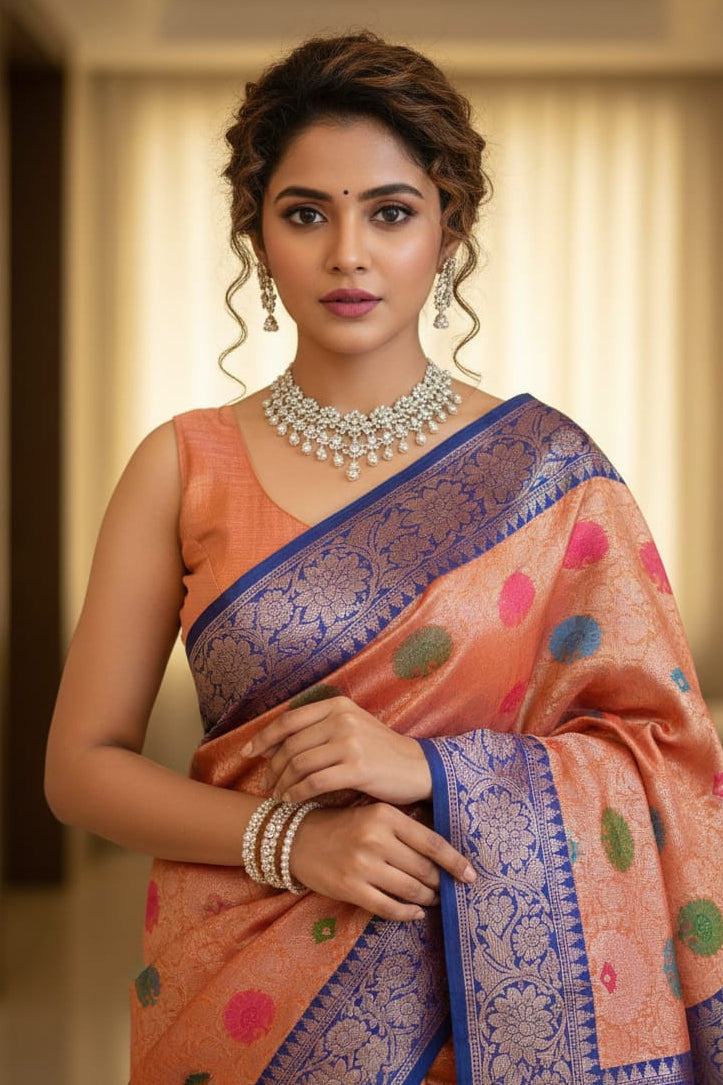 Woman wearing a traditional saree with a decorative pattern indoors.